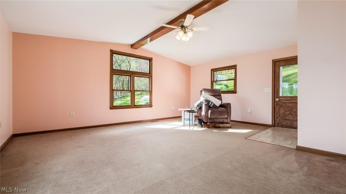 10155 Old River Road Blue Rock OH 43720