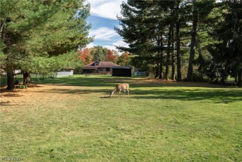 6446 Big Creek Parkway Parma Heights OH 44130