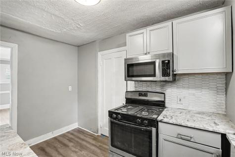 1371 Lynn Park Drive Cleveland OH 44121
