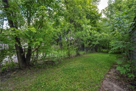 10402 Dove Avenue Cleveland OH 44105