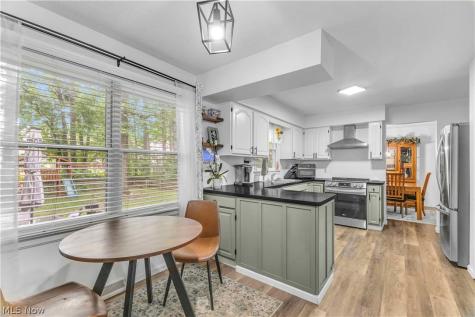 1009 Washington Drive Grafton OH 44044