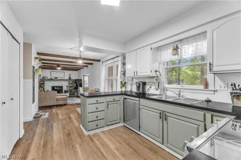 1009 Washington Drive Grafton OH 44044