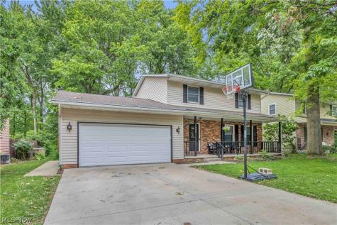 1009 Washington Drive Grafton OH 44044