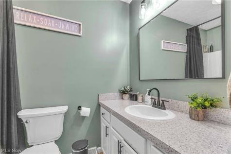 1009 Washington Drive Grafton OH 44044