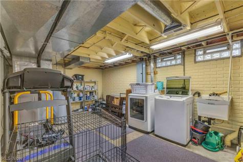 1009 Washington Drive Grafton OH 44044