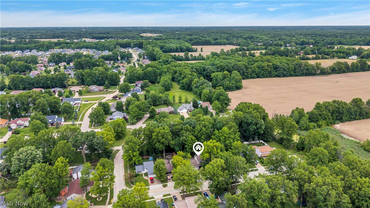 1009 Washington Drive Grafton OH 44044