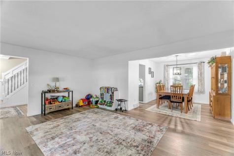 1009 Washington Drive Grafton OH 44044