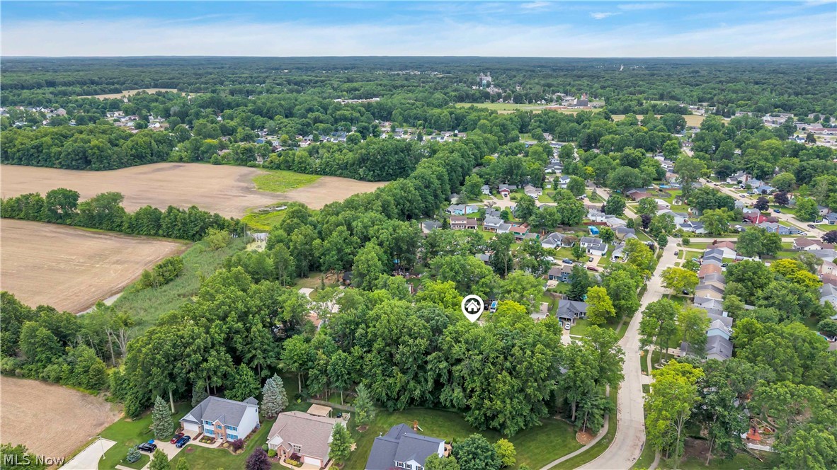 1009 Washington Drive Grafton OH 44044