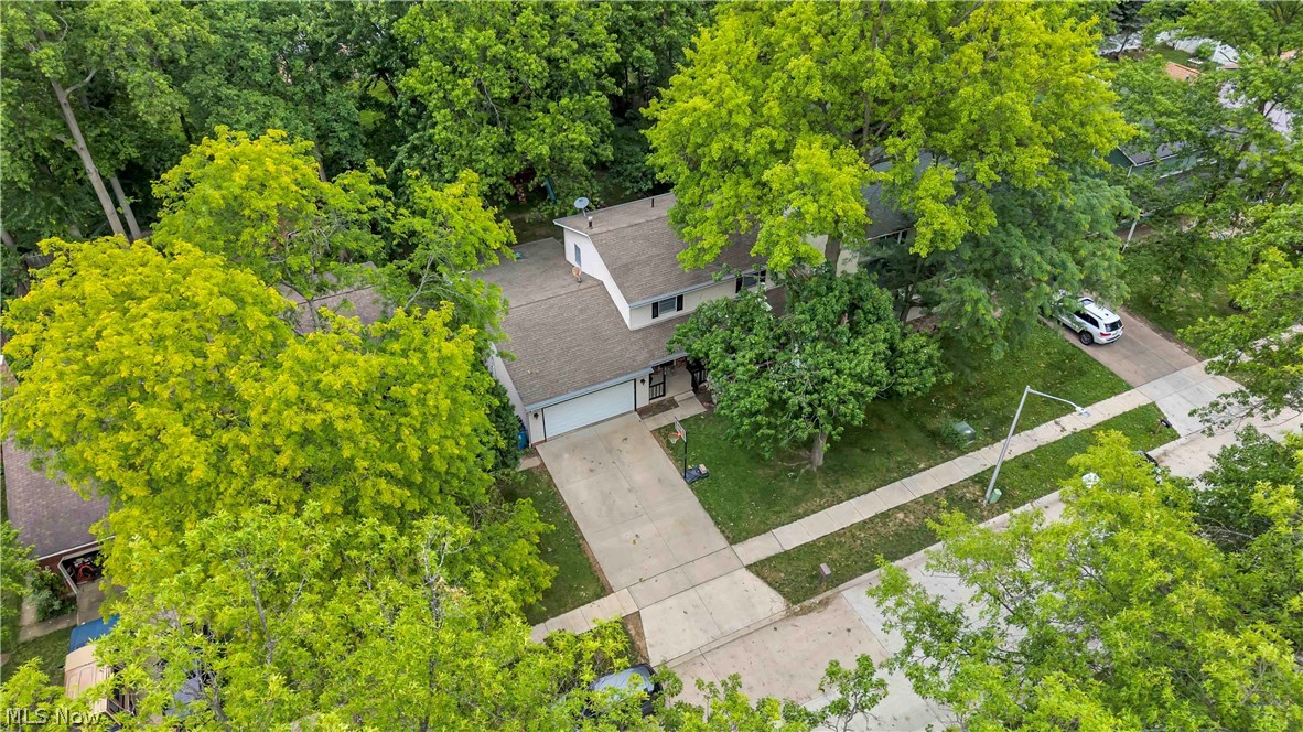 1009 Washington Drive Grafton OH 44044