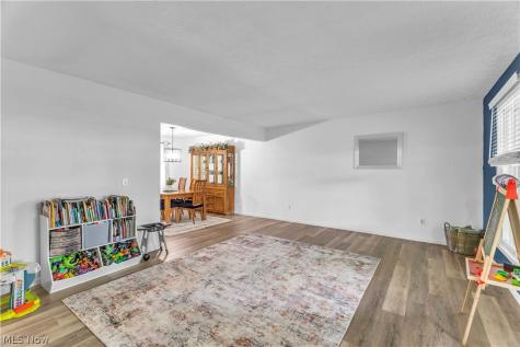 1009 Washington Drive Grafton OH 44044