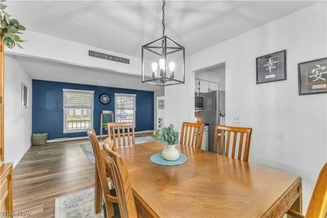 1009 Washington Drive Grafton OH 44044