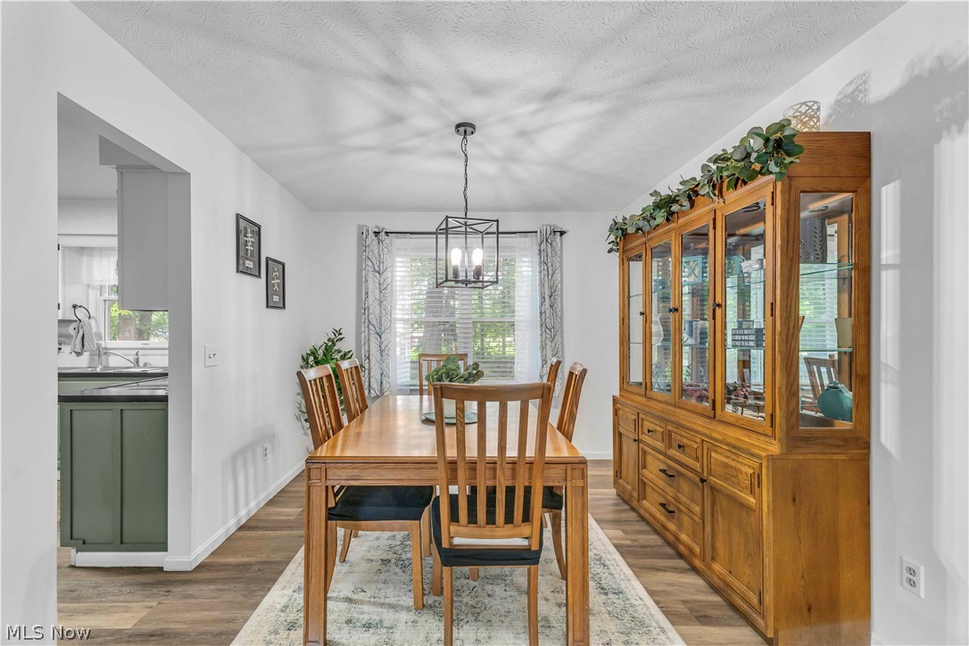 1009 Washington Drive Grafton OH 44044