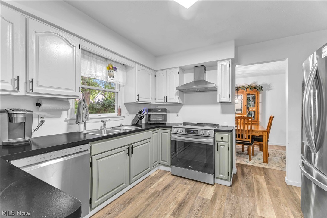 1009 Washington Drive Grafton OH 44044
