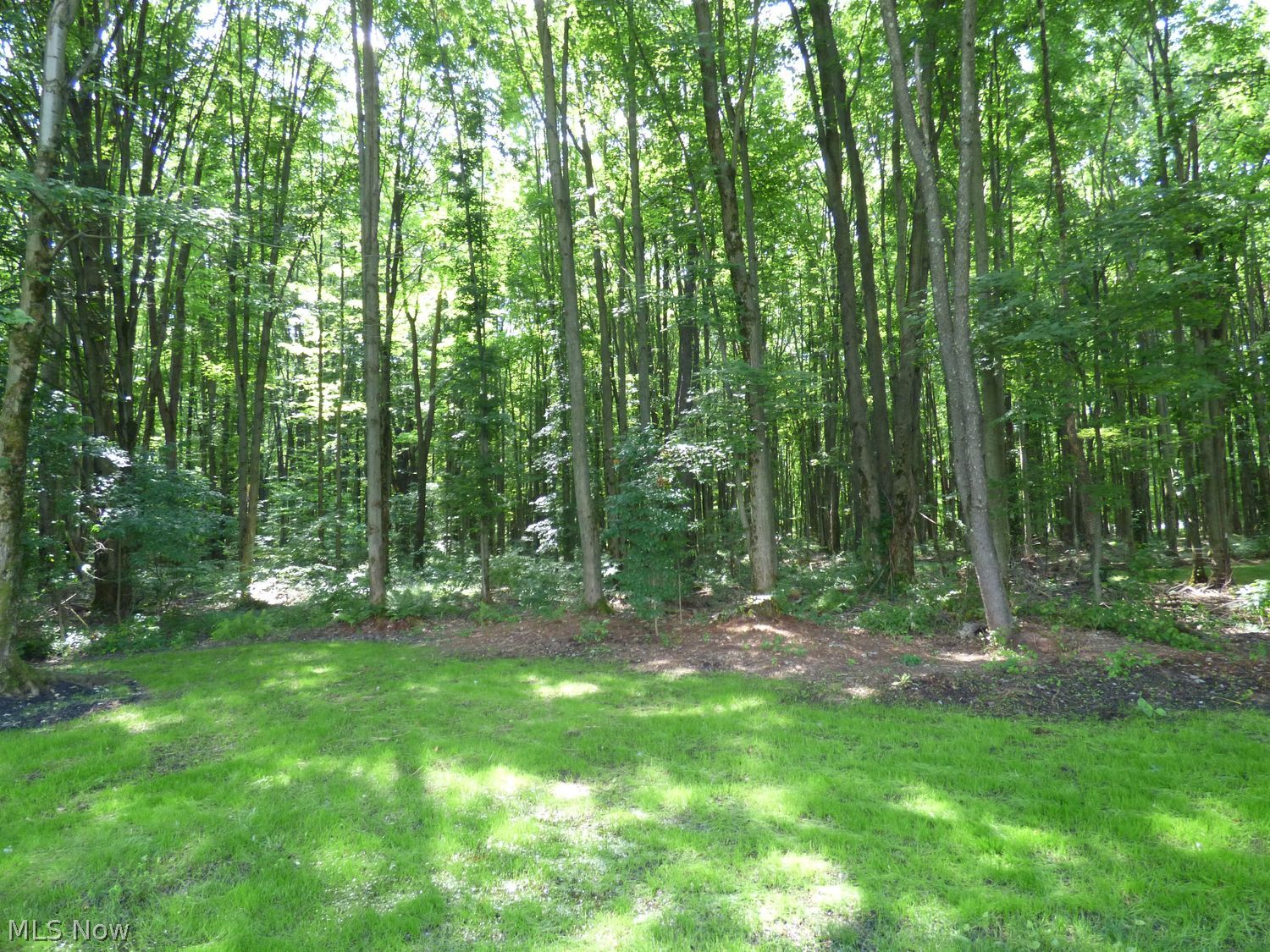 373 Hatton Andover OH 44003