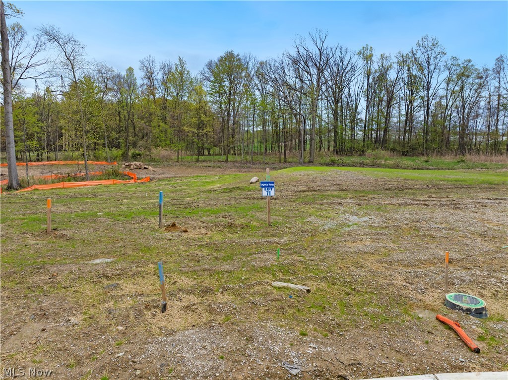 9524 River Birch Run Brecksville OH 44141