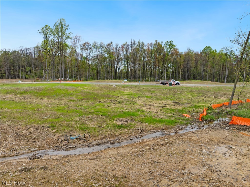 9524 River Birch Run Brecksville OH 44141