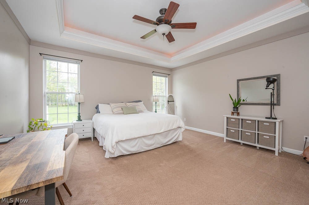 6787 S Palmyra Road Canfield OH 44406