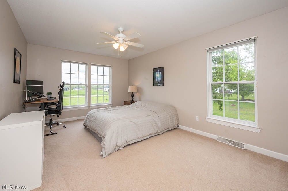 6787 S Palmyra Road Canfield OH 44406