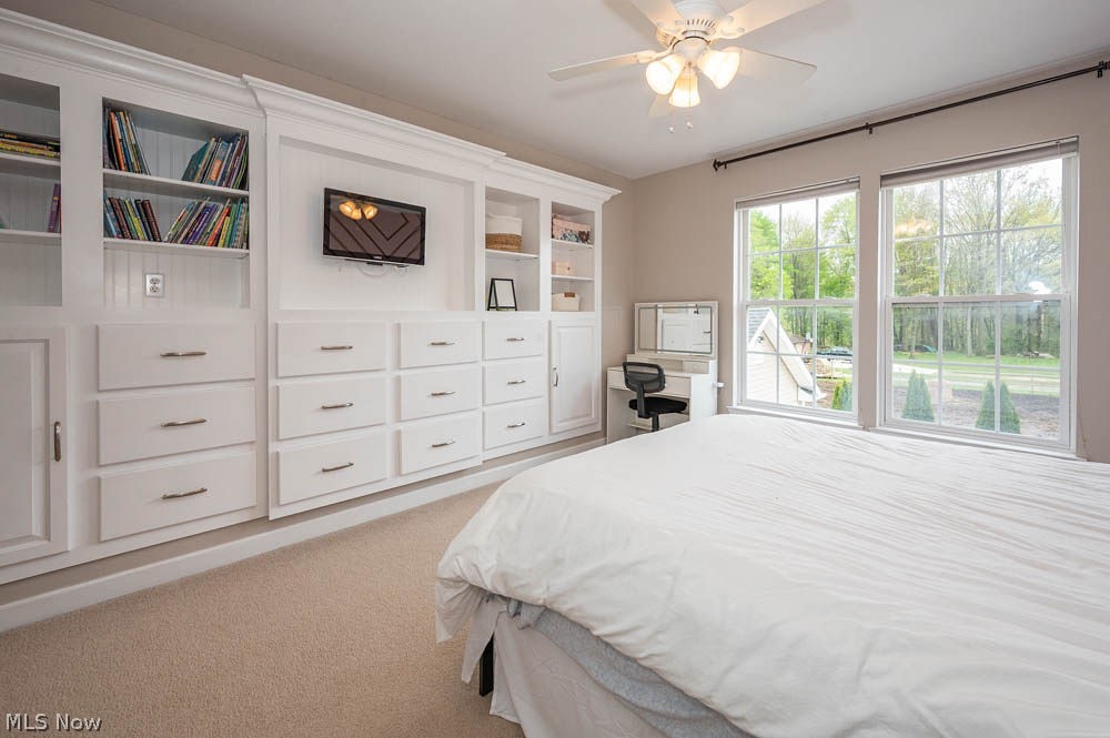 6787 S Palmyra Road Canfield OH 44406