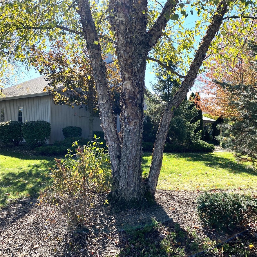 33110 Wren Haven Circle North Ridgeville OH 44039
