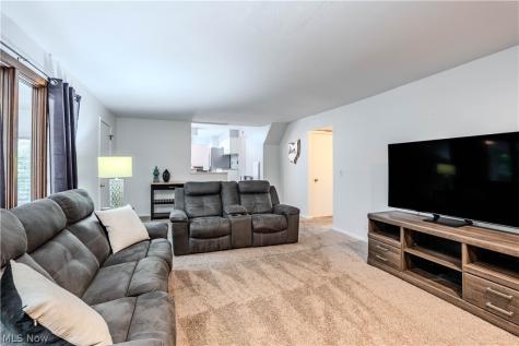 57 Woodhollow Drive Brunswick OH 44212