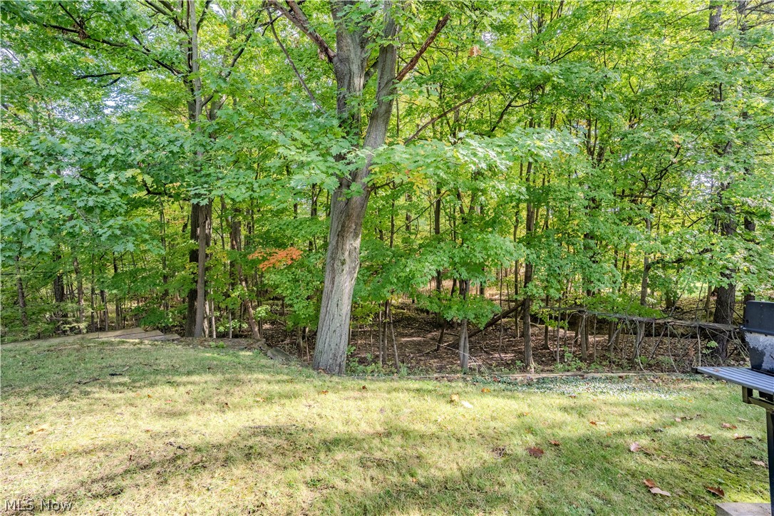 57 Woodhollow Drive Brunswick OH 44212