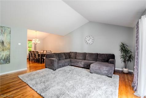57 Woodhollow Drive Brunswick OH 44212