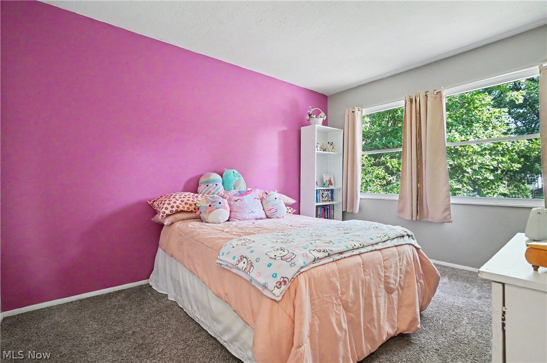 26930 Southwood Lane Olmsted Falls OH 44138