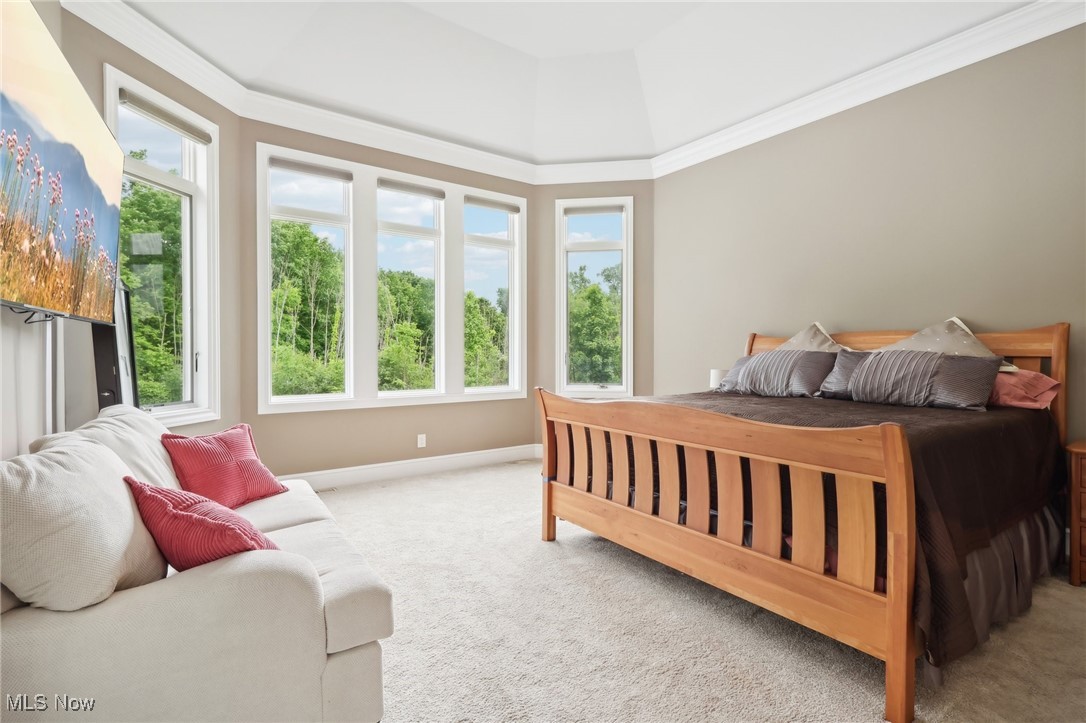 11115 Courtney Court Chardon OH 44024