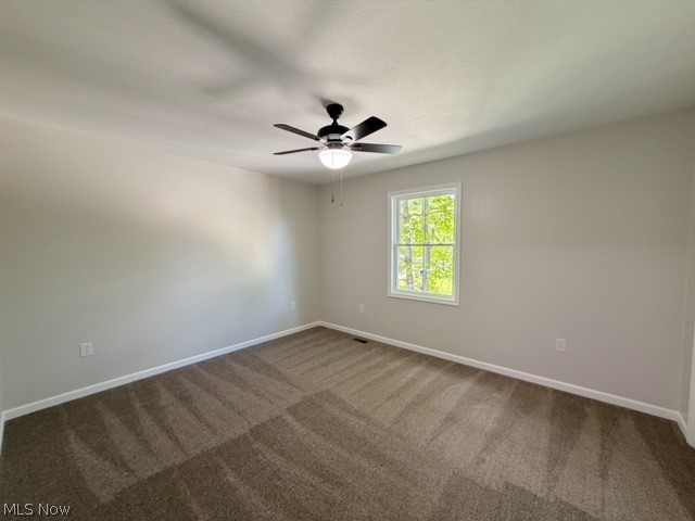 315 N Plum Street Gnadenhutten OH 44629
