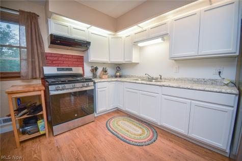 1445 Andrea Drive Brunswick OH 44212