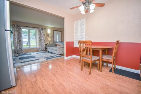 1445 Andrea Drive Brunswick OH 44212