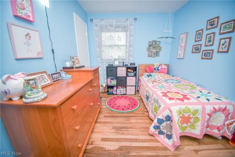 1445 Andrea Drive Brunswick OH 44212