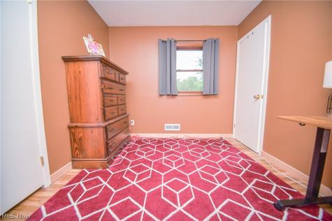 1445 Andrea Drive Brunswick OH 44212