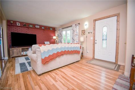 1445 Andrea Drive Brunswick OH 44212
