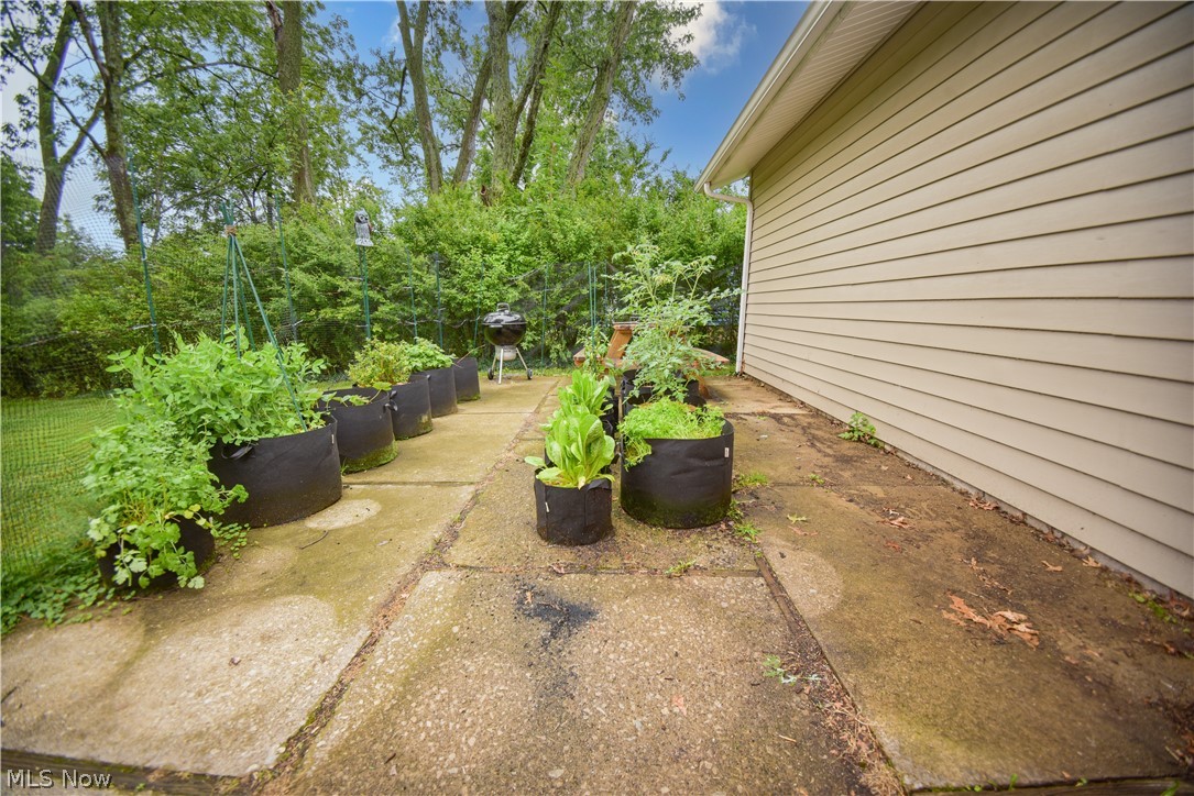 1445 Andrea Drive Brunswick OH 44212