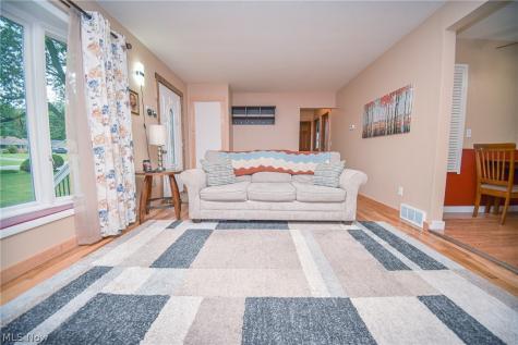 1445 Andrea Drive Brunswick OH 44212