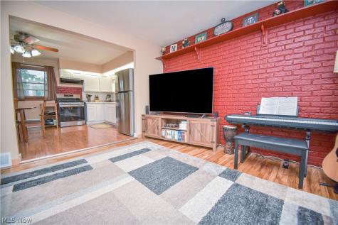 1445 Andrea Drive Brunswick OH 44212