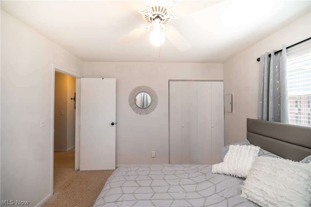 3659 Johnson Court Canfield OH 44406
