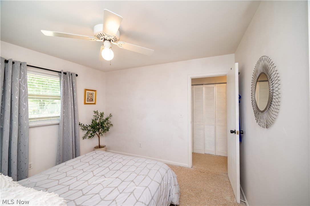 3659 Johnson Court Canfield OH 44406