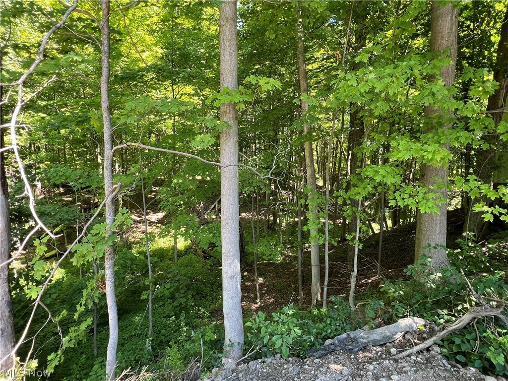 1016 Mechanicsville Road Geneva OH 44041