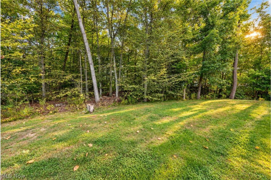1393 Cross Cove Austintown OH 44515