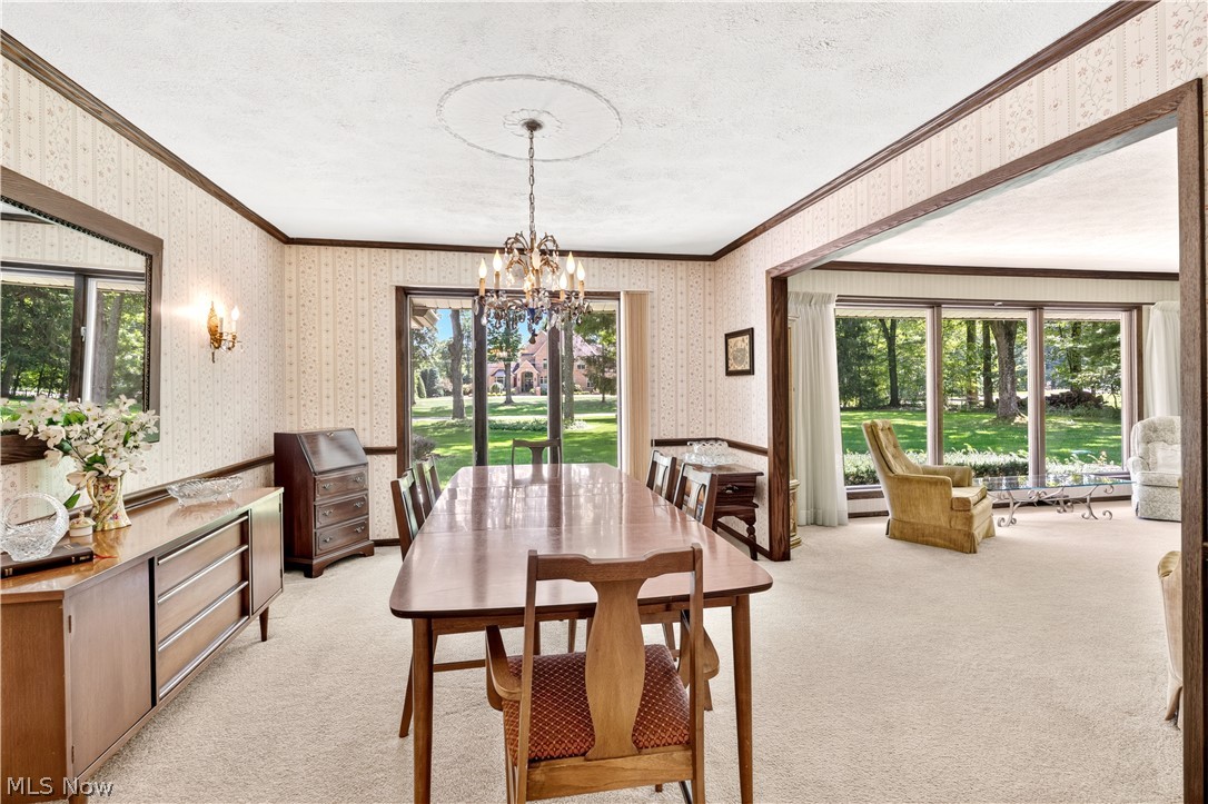 4200 Sugarbush Drive Canfield OH 44406