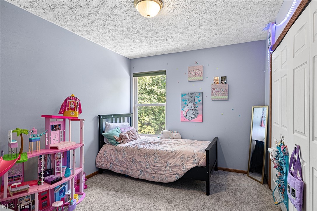 1743 Dunlap Drive Streetsboro OH 44241