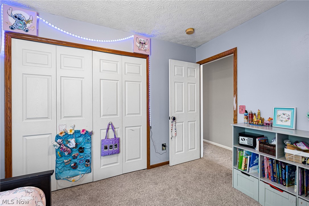 1743 Dunlap Drive Streetsboro OH 44241
