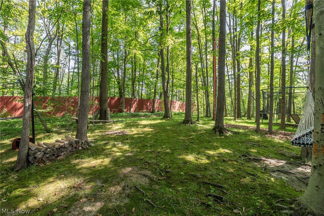 1743 Dunlap Drive Streetsboro OH 44241