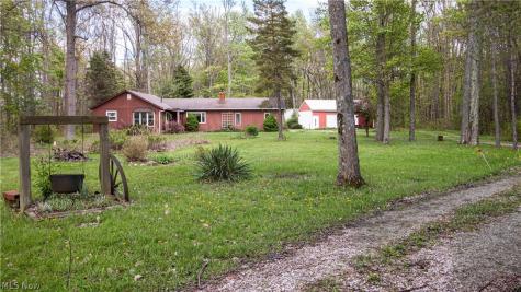 21193 Gore Orphanage Road Wellington OH 44090