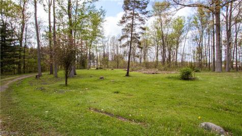 21193 Gore Orphanage Road Wellington OH 44090