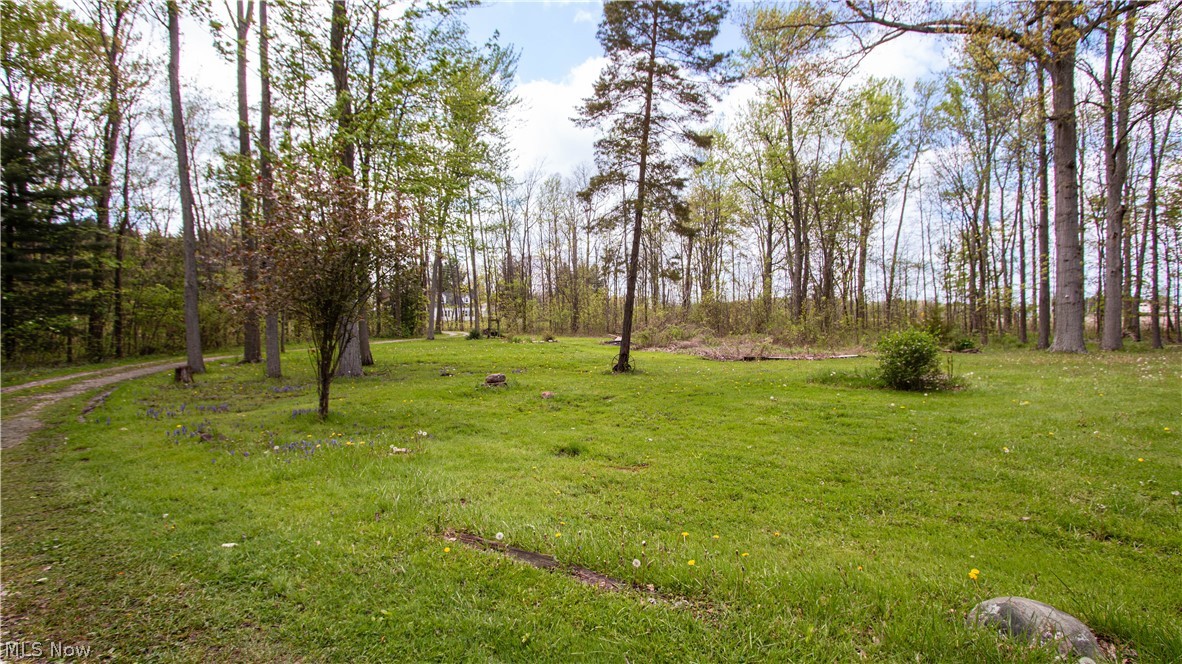 21193 Gore Orphanage Road Wellington OH 44090