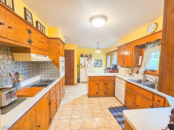 40320 State Route 517 Lisbon OH 44432